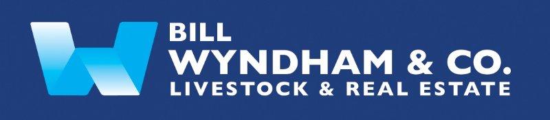 Bill Wyndham & Co Logo