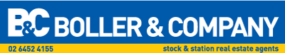 Boller & Co Logo