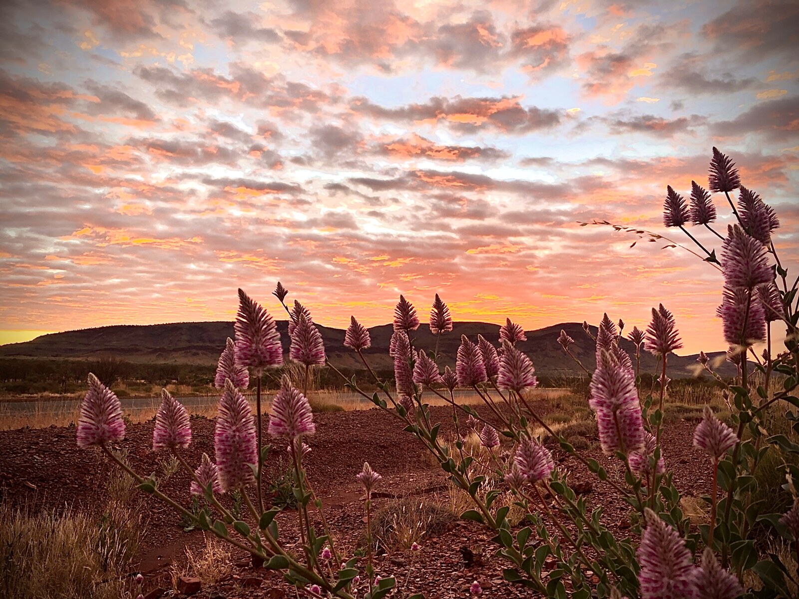 Sunrise in the Mulla Mullas Ashburton Pilbara WA