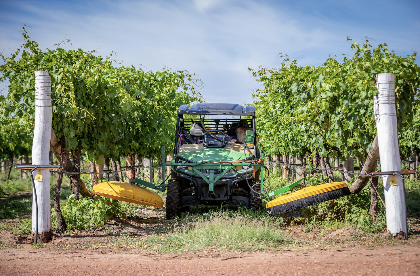 Though grapes are not Balonne Shire Queensland's most significant agricultural output, viticulture does occur in the region