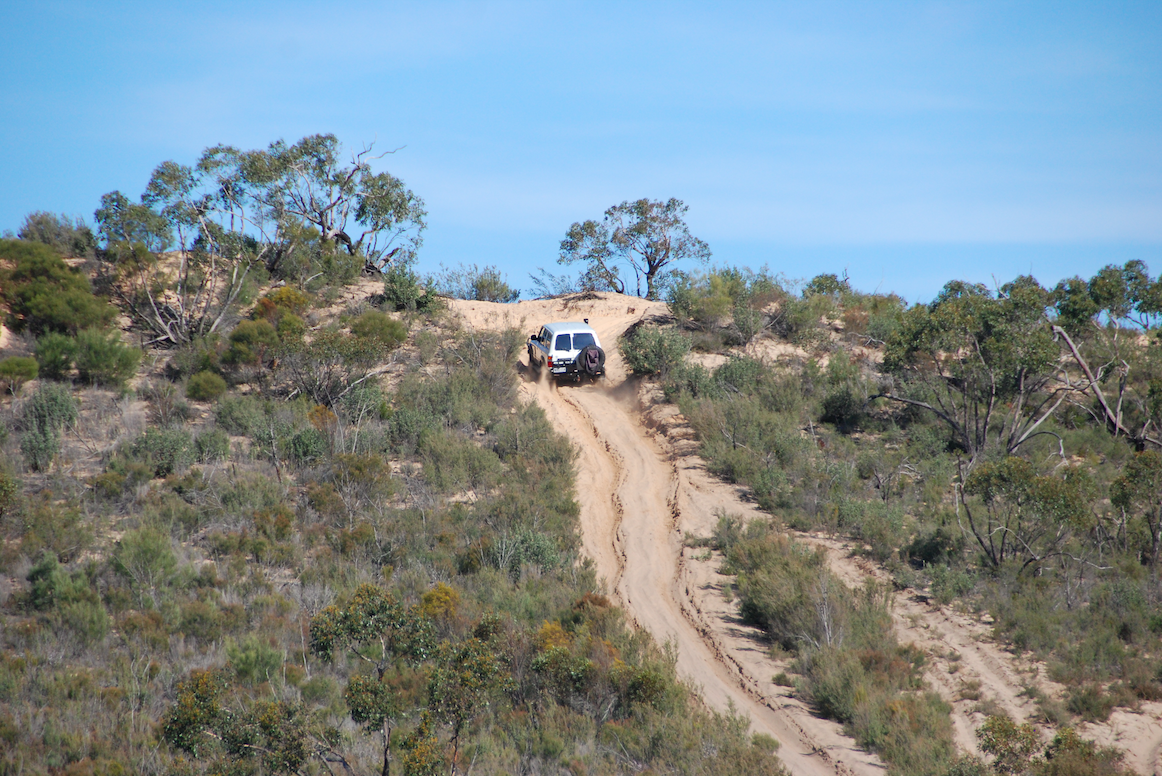 4WD-ing in the Southern Mallee District Council's local Ngarkat Conservation Park