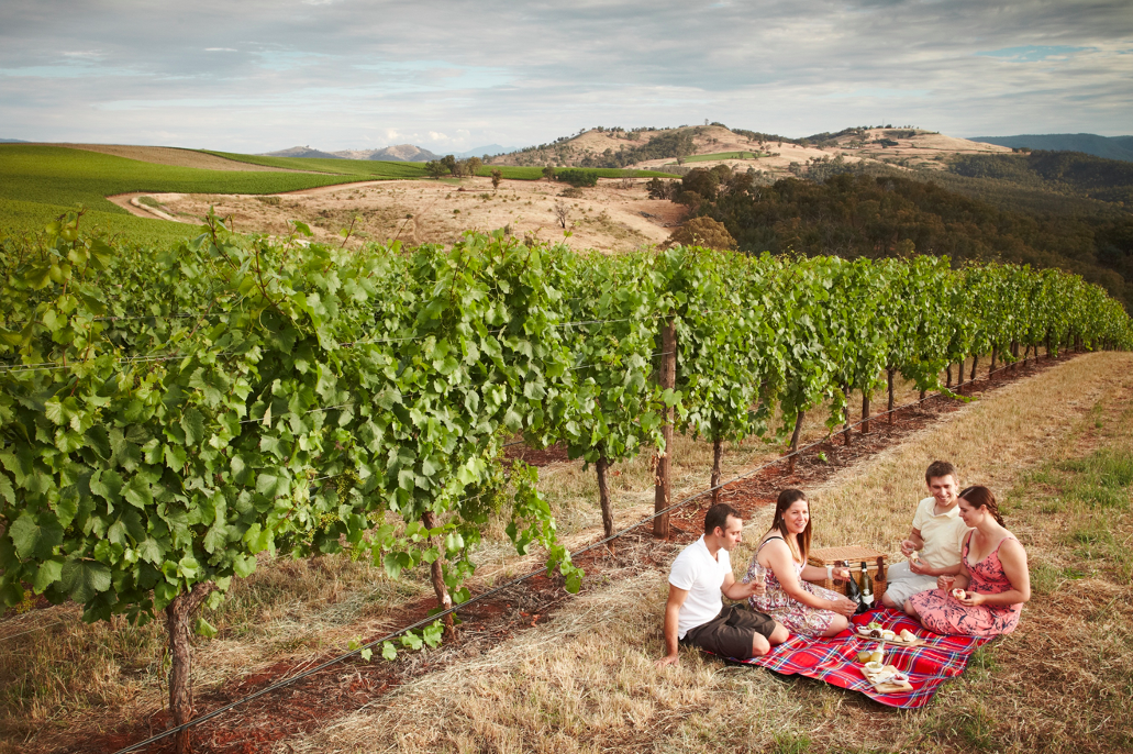 The iconic Brown Brothers Winery, producing quality wine in the Wangaratta Council Victoria region since 1889