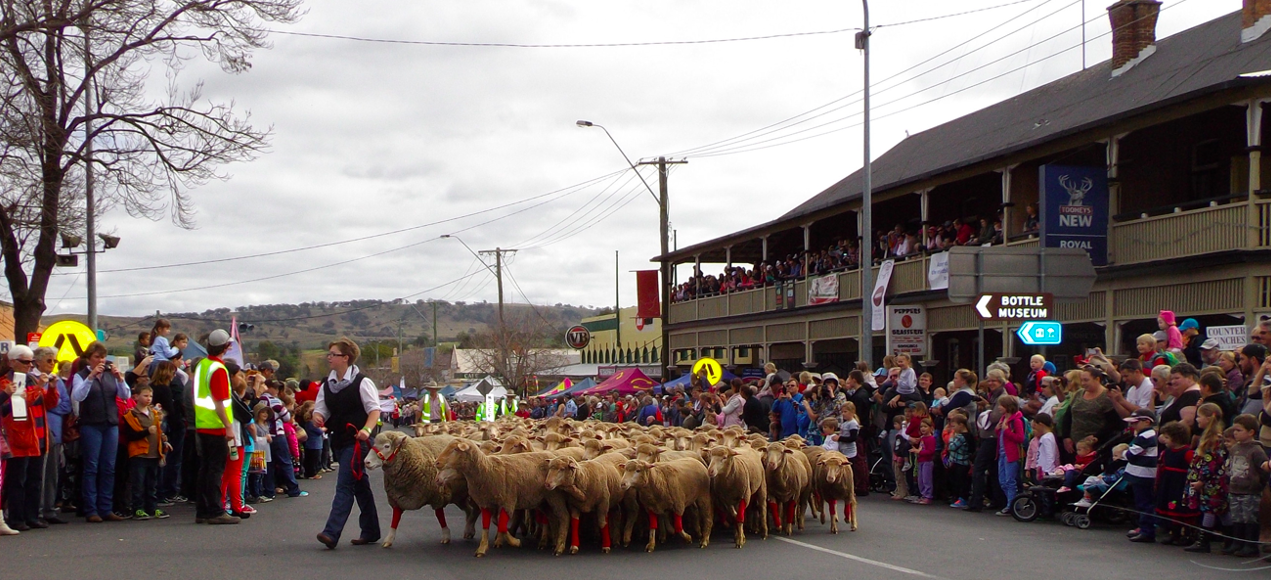 Merriwa's annual Festival of the Fleeces in the Upper Hunter Shire