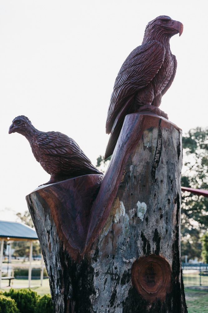 McCann Park chainsaw art in Bland Shire New South Wales
