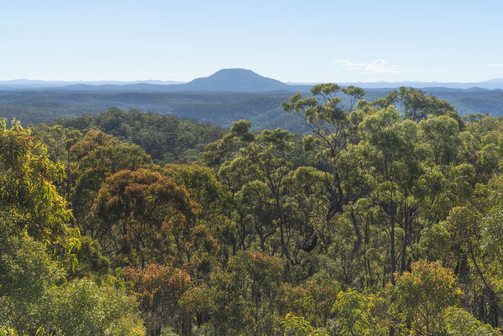 Yengo National Park in Cessnock NSW is part of the UNESCO Greater Blue Mountains World Heritage Area