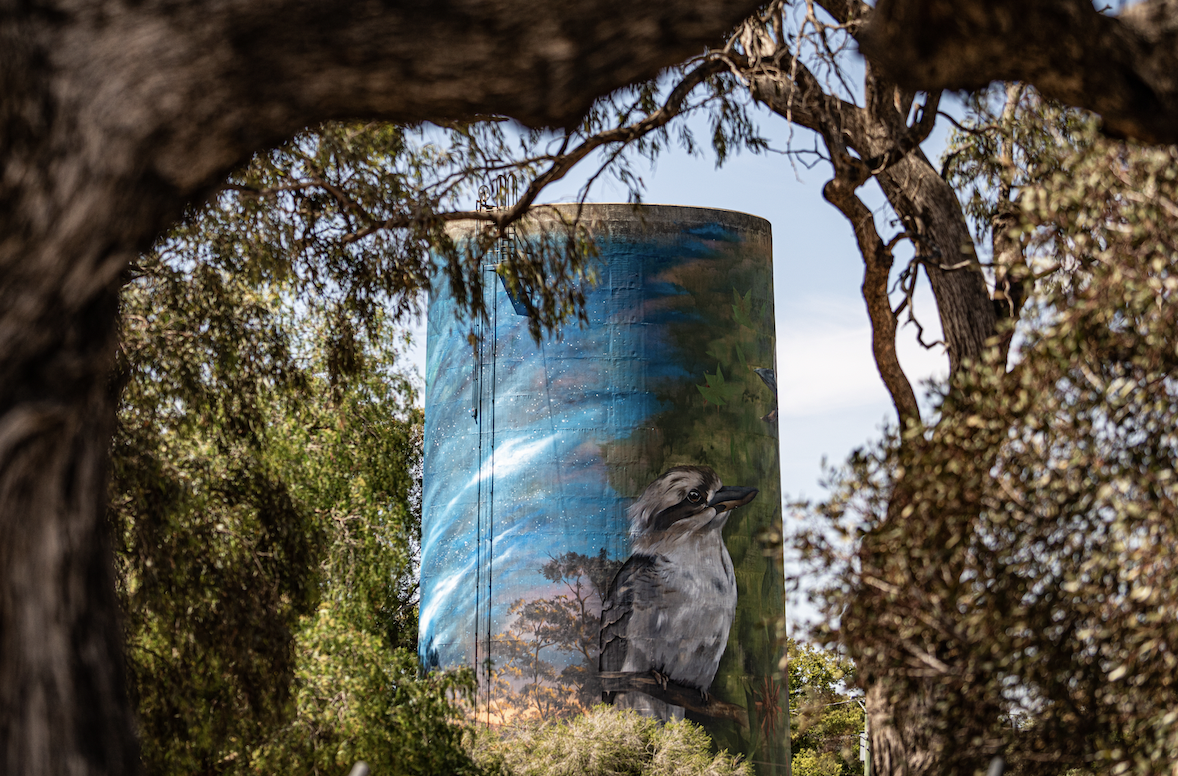 Deniliquin New South Wales silo art