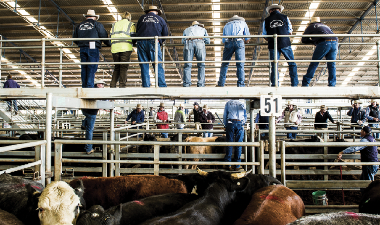 Forbes New South Wales' Central West Farming Exchange