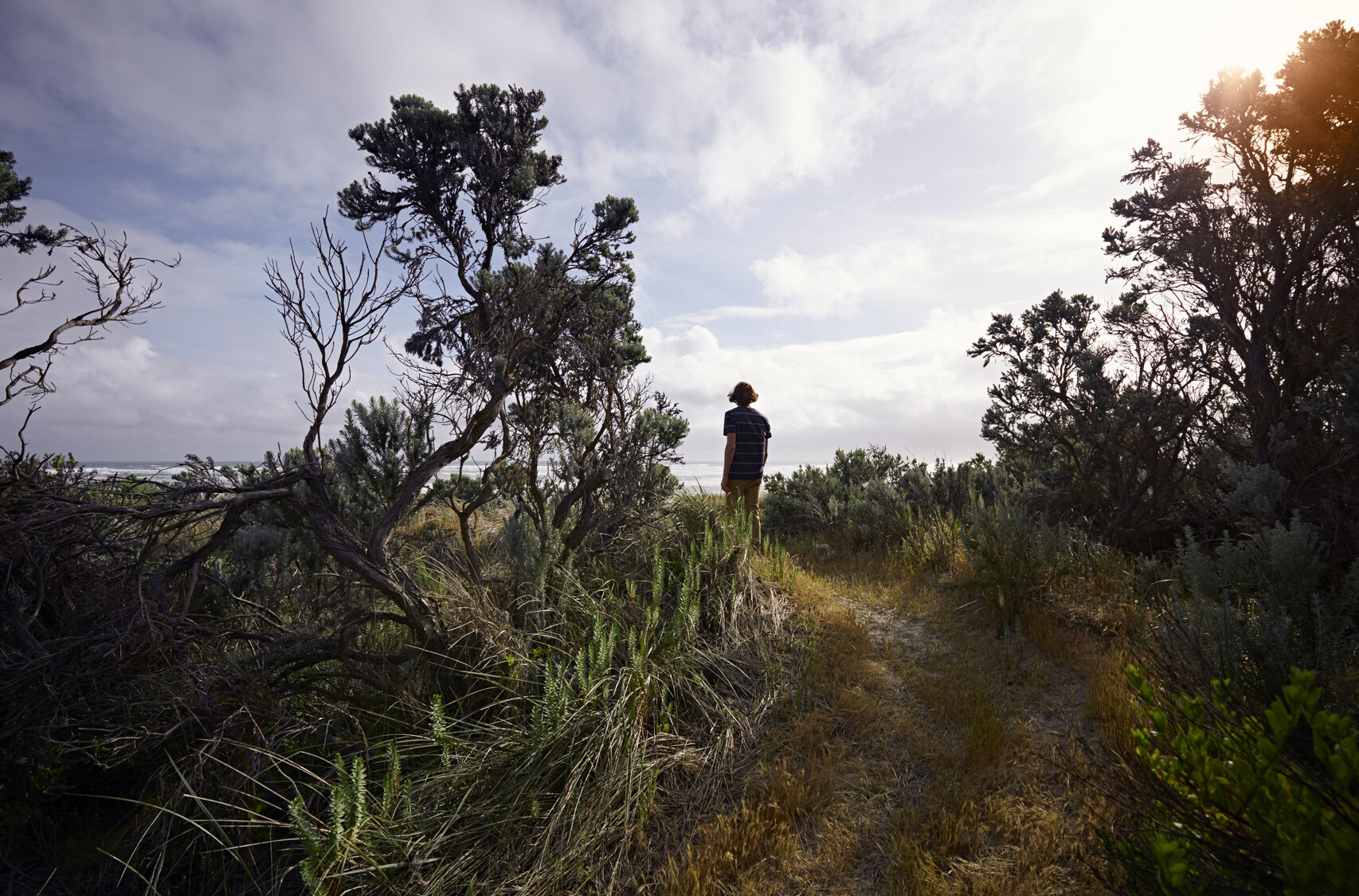 A man walks on the Great South West Walk in Glenelg Victoria