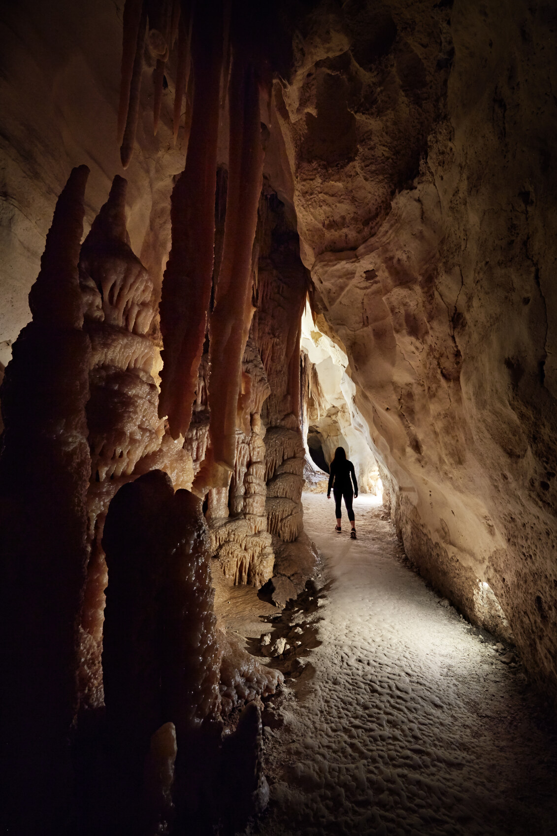 Explore Princess Margaret Rose Cave in Glenelg Shire Victoria