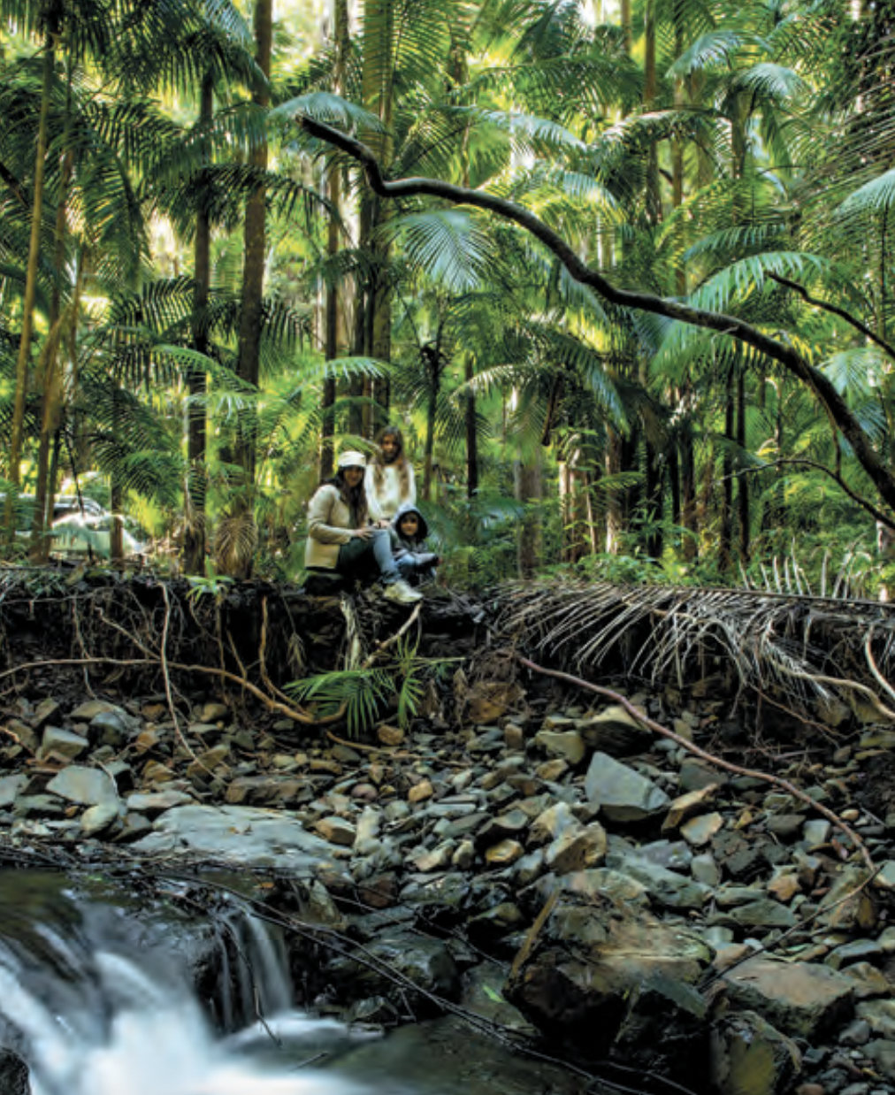 A visit to the Yarriabini National Park is the perfect day out for the whole family in Kempsey New South Wales.