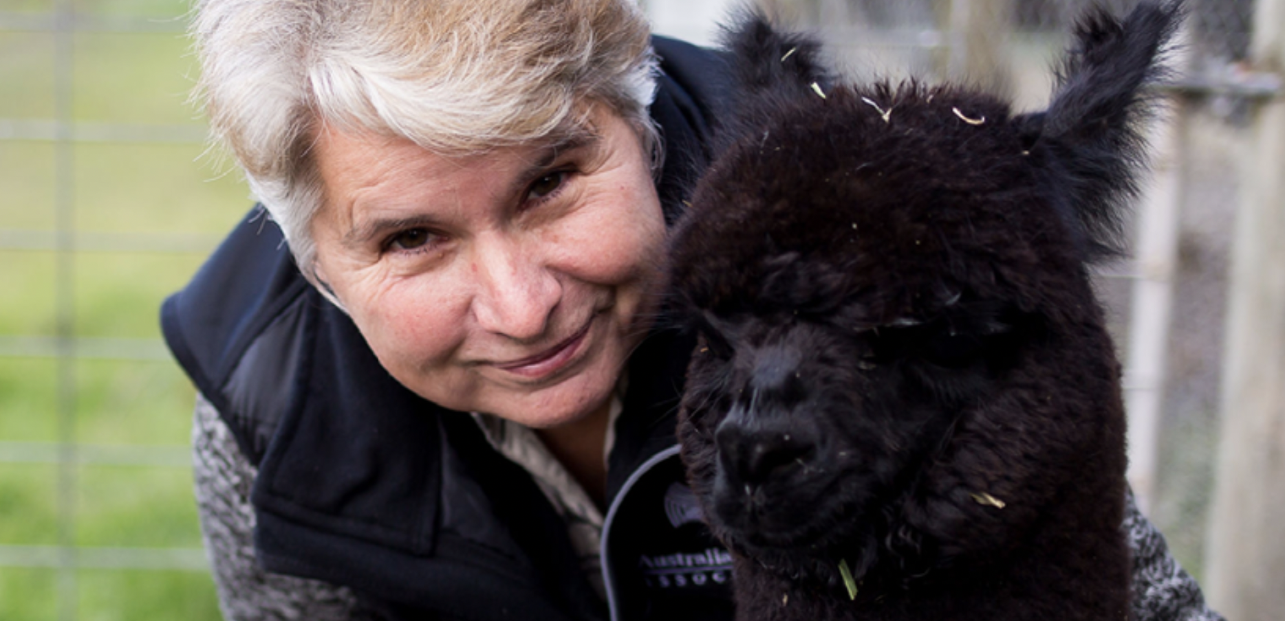 Farming in the City of Latrobe Victoria is not limited to the production of meat and dairy products - small farms abound, like local business Serenity Alpacas.