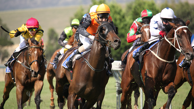 An exciting day out at the Traralgon Cup in the City of Latrobe Victoria