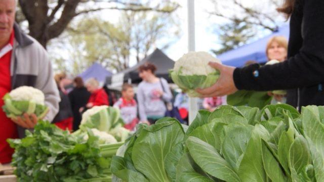 Traralgon Farmer's Market, held on the first Saturday of every month in local Kay Street Gardens in the City of Latrobe Victoria.