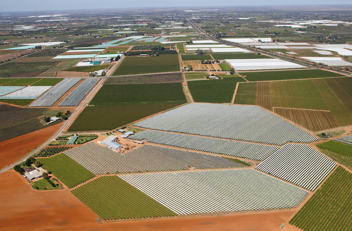 Agriculture in Mildura Victoria