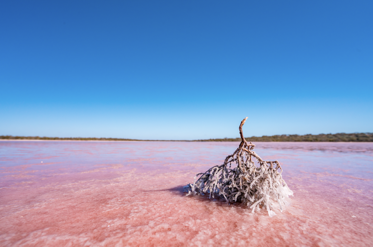 The Pink Lakes in the Murray Sunset National Park
