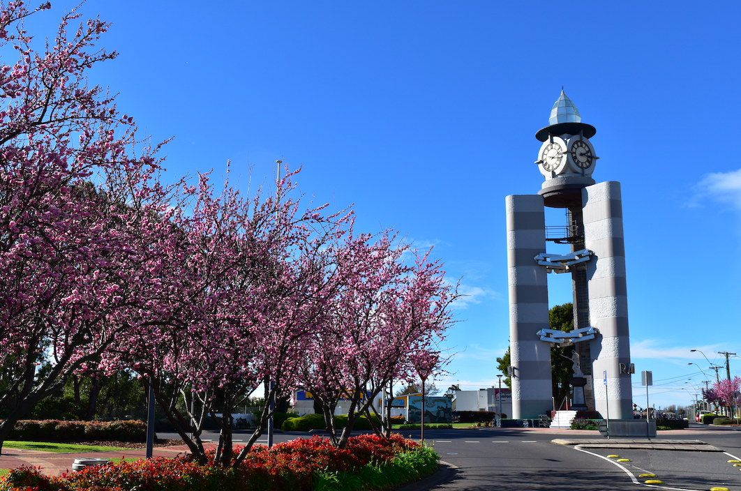 The Ulverstone Clock Tower, a key tourist location in the Central Coast Council Tasmania, in spring