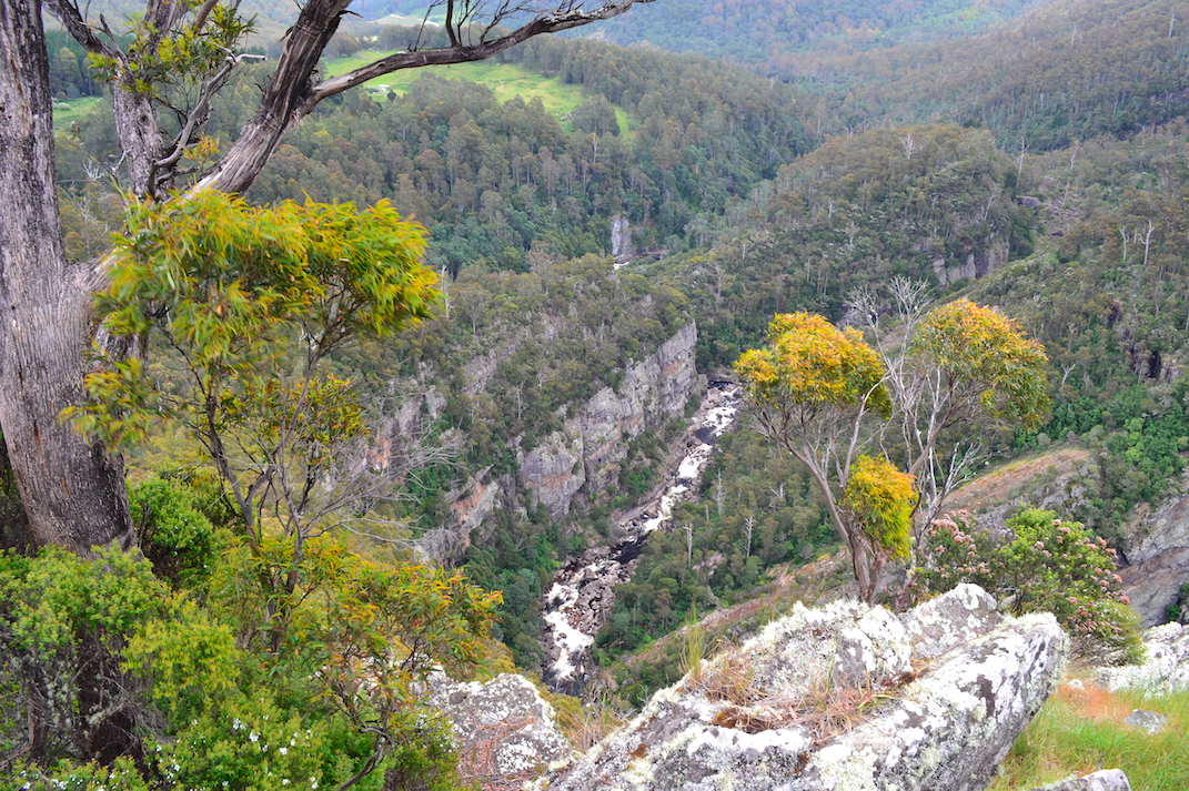 The scenic Leven Canyon in the Central Coast Council Tasmania 
