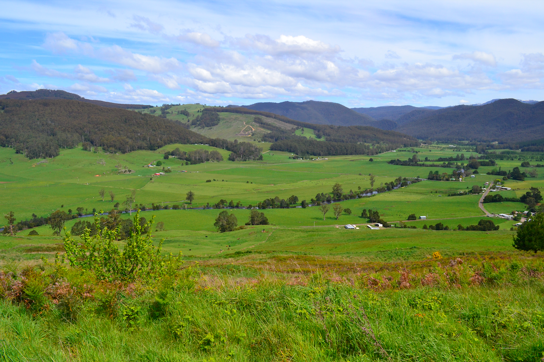 The fertile land of Gunns Plains in the Central Coast Council Tasmania