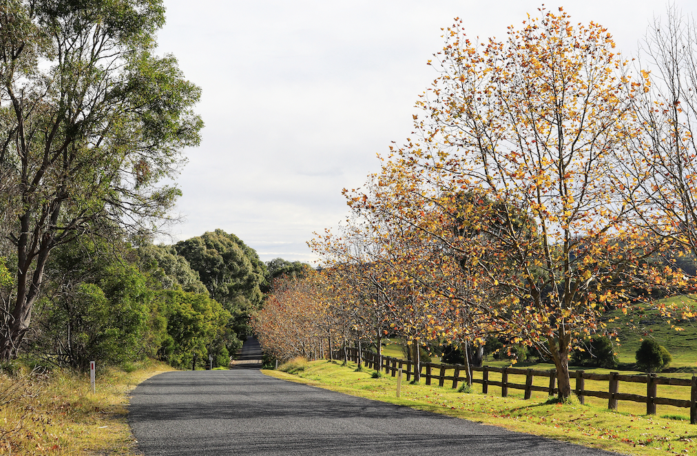 8-great-places-to-see-autumn-leaves