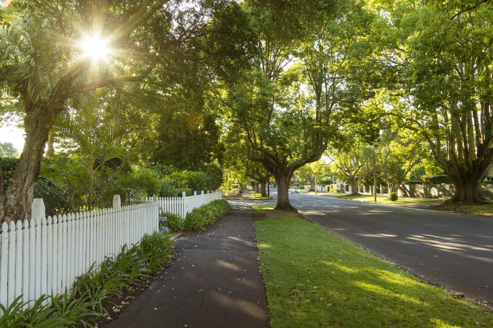 A leafy streetscape with a white picket fence in a suburb of Toowoomba Queensland