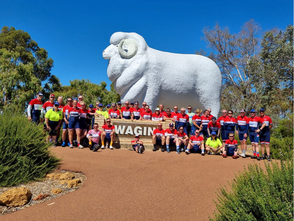 Bart the Giant Ram is an anatomically correct merino ram and is popular with tourists and locals alike.