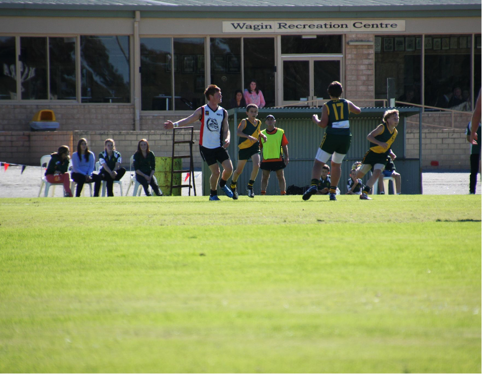 Team sports are a major part of social and recreational life in Wagin.
