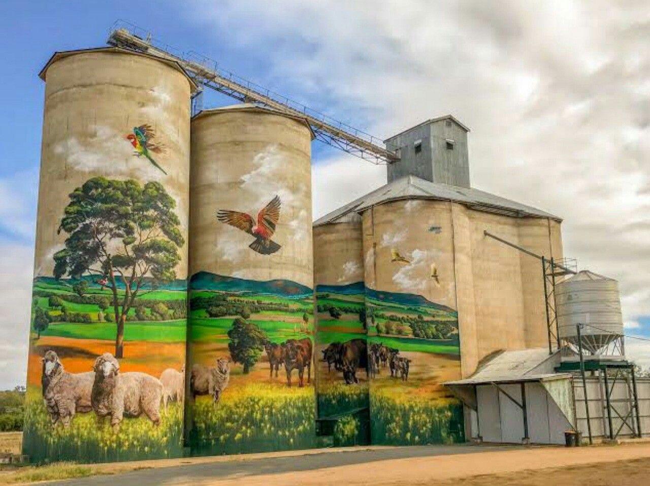 The Grenfell Commodities Silos are part of the NSW silo art trail.