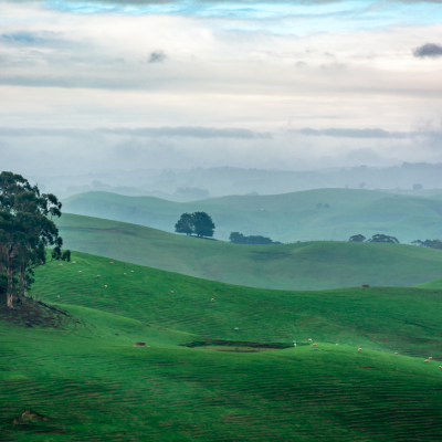 Gippsland, VIC
