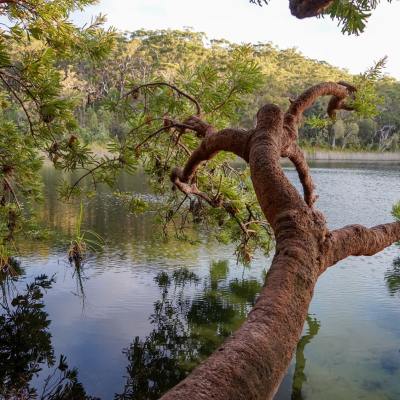 Logan and Redlands, QLD
