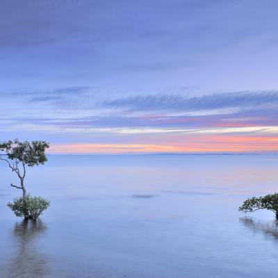 Moreton Bay, QLD