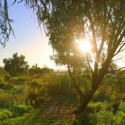 Murraylands and Riverland, SA