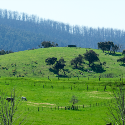 Northern Melbourne, VIC