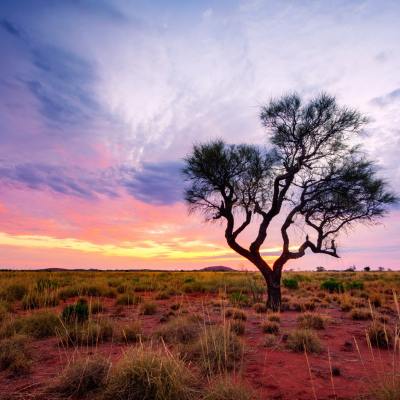 Pilbara, WA
