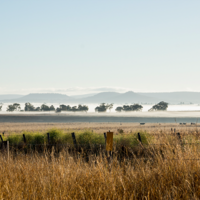 Darling Downs and South West, QLD