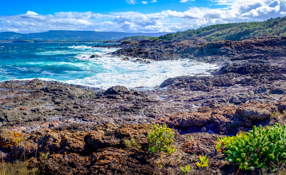 Rural Properties for sale in Illawarra, NSW Go Regional