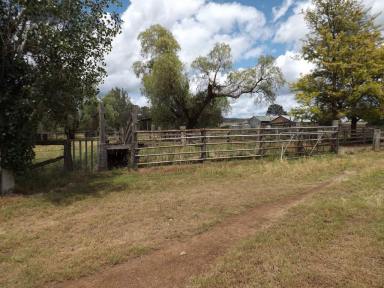 Other (Rural) For Sale - NSW - Sandy Hollow - 2333 - Prime Farming Land with Irrigation  (Image 2)