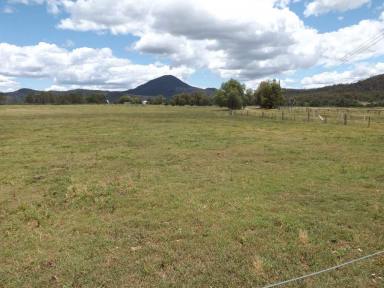 Other (Rural) For Sale - NSW - Sandy Hollow - 2333 - Prime Farming Land with Irrigation  (Image 2)
