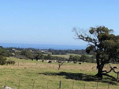 Residential Block For Sale - VIC - Walkerville - 3956 - Panoramic views, productive pasture  (Image 2)