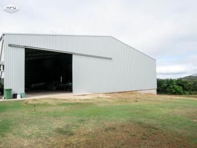 Horticulture For Sale - QLD - Dimbulah - 4872 - EXPANSIVE FARMLAND WITH QUALITY SOILS  (Image 2)