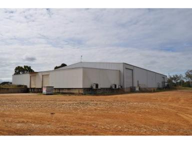 Cropping For Sale - QLD - Mareeba - 4880 - What a Shed  (Image 2)