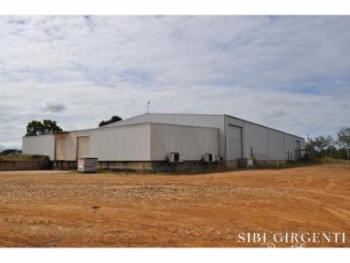 Cropping For Sale - QLD - Mareeba - 4880 - What a Shed  (Image 2)