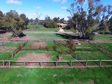 Mixed Farming For Sale - VIC - Koonoomoo - 3644 - 77.2 Ha Prime Koonoomoo Location  (Image 2)