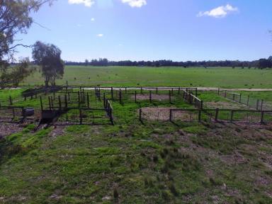 Mixed Farming For Sale - VIC - Koonoomoo - 3644 - 77.2 Ha Prime Koonoomoo Location  (Image 2)