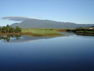 Mixed Farming For Sale - QLD - Babinda - 4861 - 200 acres (Many Kilometres of River Frontage) - MAGNIFICENT VIEWS  (Image 2)