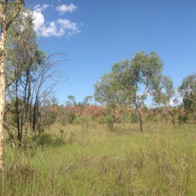 Other (Rural) For Sale - WA - Kununurra - 6743 - Vacant Acreage - ready for your Dream Home!  (Image 2)