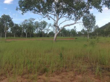 Other (Rural) For Sale - WA - Kununurra - 6743 - Vacant Acreage - build your Dream Home!  (Image 2)