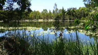 Lifestyle For Sale - QLD - Midgeree Bar - 4852 - Privacy, Position, Paradise with 360 degree rainforest, beach and ocean views.  (Image 2)