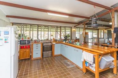Lifestyle For Sale - QLD - Habana - 4740 - THE ULTIMATE LIFESTYLE PROPERTY WITH BOARDING KENNEL BUSINESS  (Image 2)