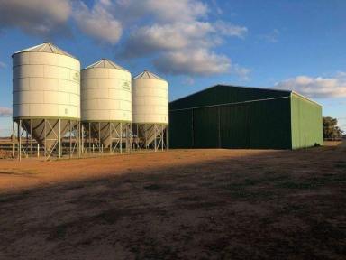 Mixed Farming For Sale - NSW - Warroo - 2871 - Mixed Farming/Cattle Enterprise or Commodity Trading - 1,262.36 Acres with home  (Image 2)
