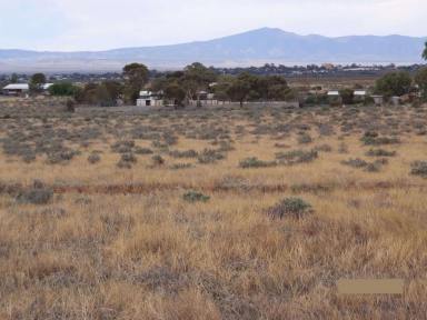 Residential Block For Sale - SA - Port Augusta West - 5700 - Large 17.31ha / 42.8ac Vacant Residential Land, with great development potential  (Image 2)